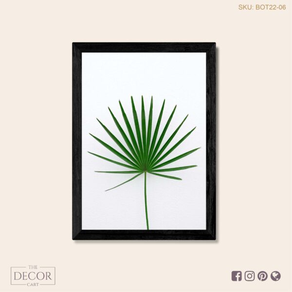 Beautiful Palm Leaf on White